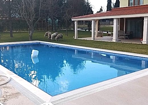 Çatalca Kestaneköy Projesi