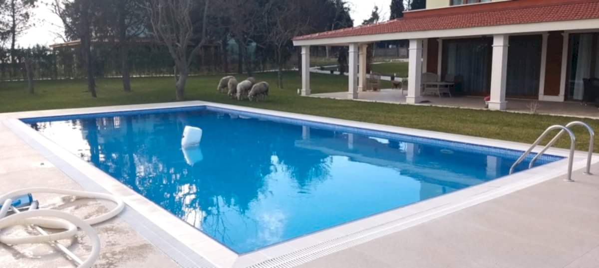 Çatalca Kestaneköy Projesi̇